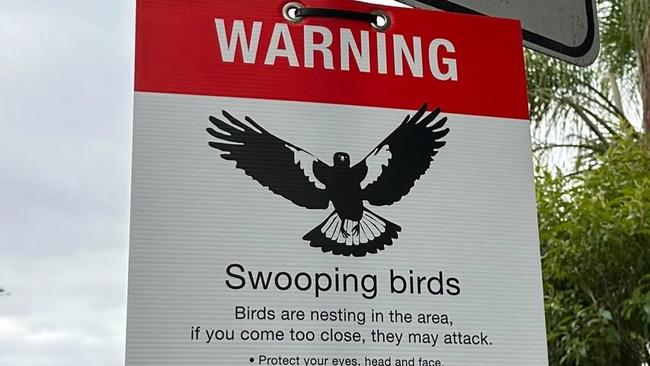 Gold Coast City Council signage to warn residents in areas where magpies are swooping