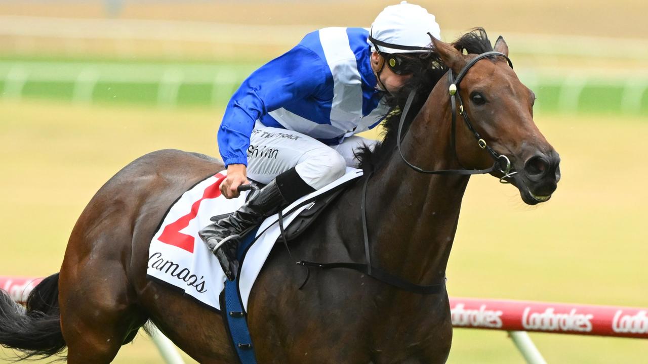 Alligator Blood at his rampant best winning the Group 1 Futurity Stakes. Picture: Getty Images