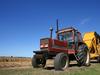 Agribusinesses’ diversity push trumps indigenous efforts