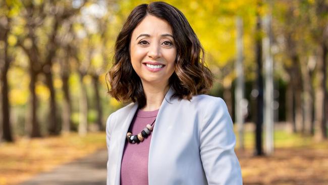 Northcote Labor MP Kat Theophanous has been suspended over her comments on Cyprus.