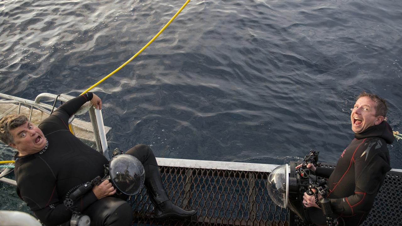 Get the shot: Andrew Fox and award-winning underwater photographer Matthew Smith. Picture: Jayne Jenkins 