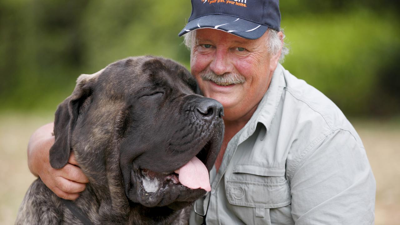 Australia's biggest dog Baron