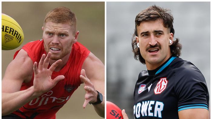 Essendon's Peter Wright / and Port Adelaide's Ivan Soldo.