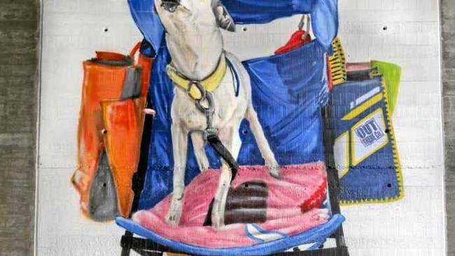 &#39;Tiny&#39; in her pram at Yeppoon. Picture: contributed