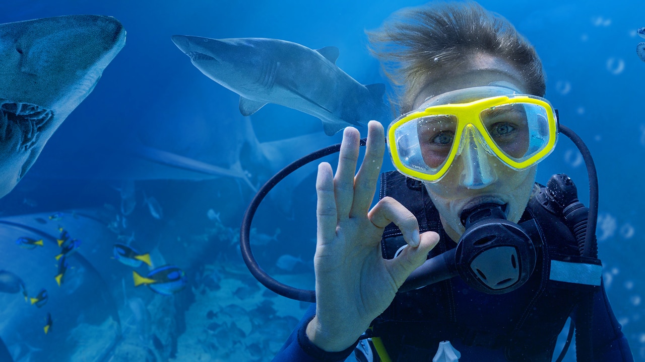 Face your fears for a fraction of the price at SEA LIFE. Picture: SEA LIFE Sydney