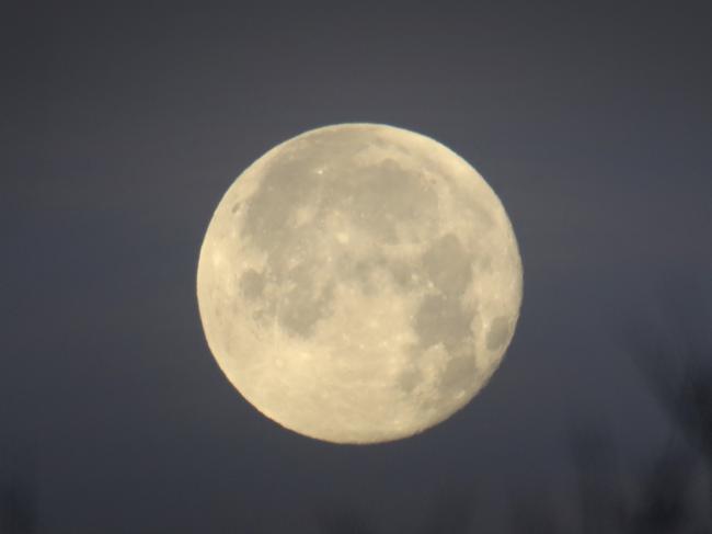 LONDON, ENGLAND - DECEMBER 01: The moon drops below trees first thing in the morning on December 01, 2020 in London, England . (Photo by Chris Jackson/Getty Images)