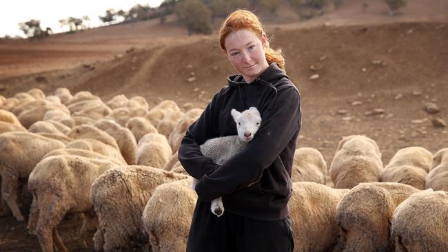 Lillie Jones with one of many abandoned lambs. Picture: Sam Ruttyn