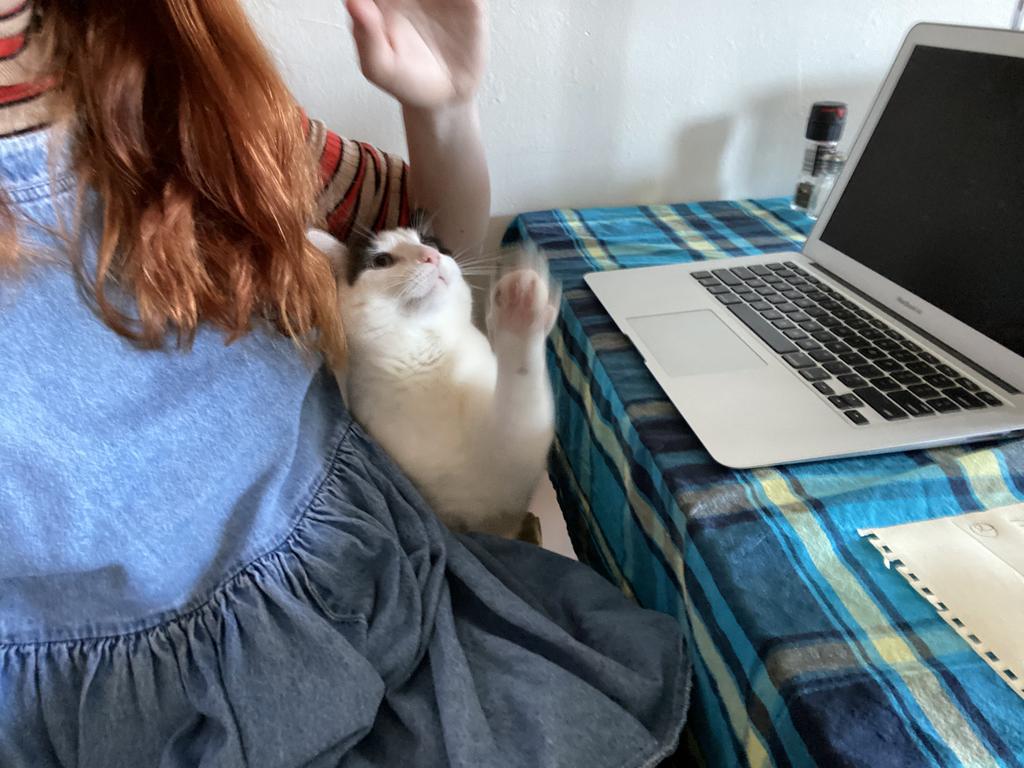 The 30-year-old with a cat she was looking after in New York. Picture: Madolline Gourley