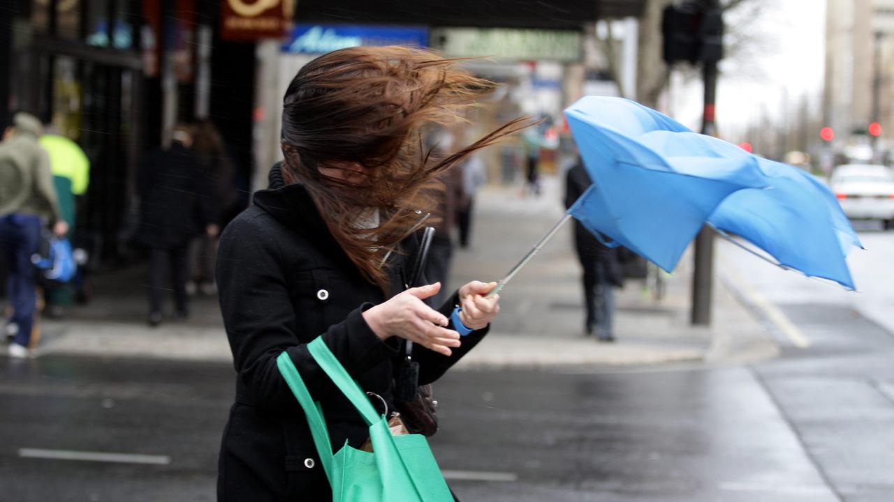 SA Weather: Strong winds sweep across state, bringing down trees | The ...