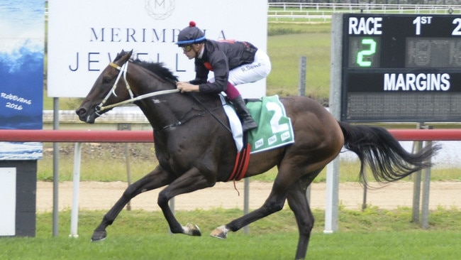 Progressive gelding Artful Persuasion can resume with a win at Kembla. Picture: Bradley Photos