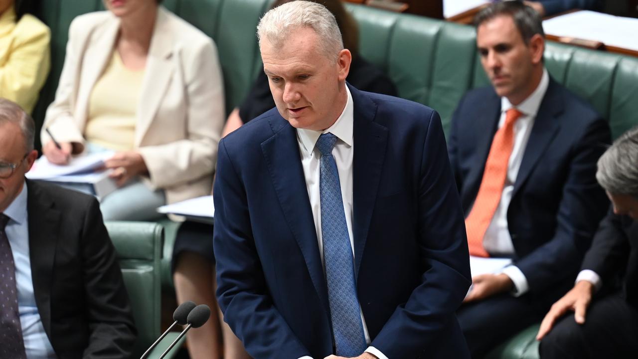 Tony Burke said there were many examples where working from home had benefits for both employers and employees. Picture: NCA NewsWire / Martin Ollman