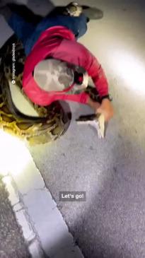 Hunters catch record breaking python