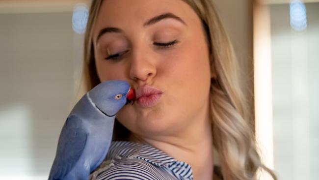 How one woman and her parrot became social media superstars