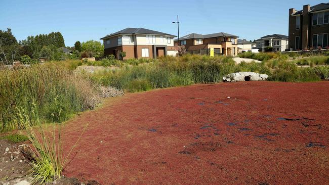 The "pink lake" at Wantirna Rise estate. Picture: Hamish Blair