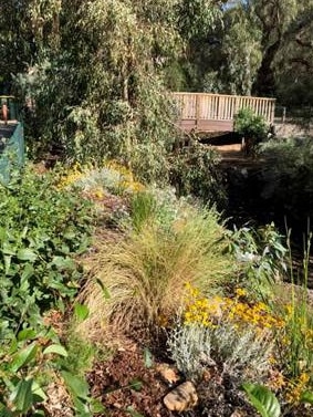 The garden alongside Brownhill Creek before the recent widening works. Picture: supplied