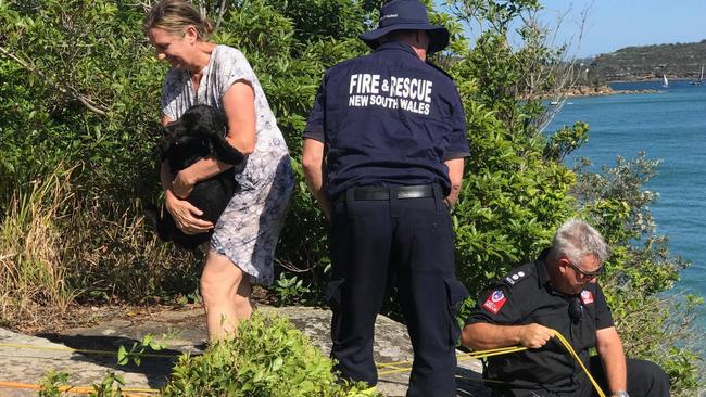 The dog’s owners, relieved at the rescue, takes it home. Picture: NSW Police