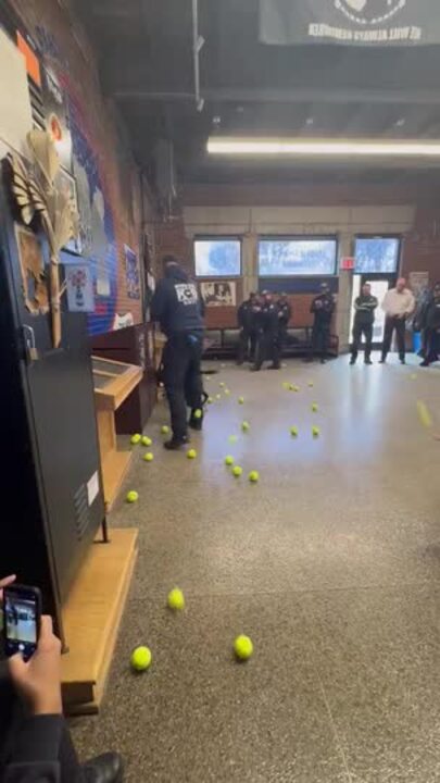 Retiring Police Dog Surprised With Tennis Balls