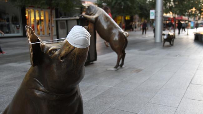 Statues including the Rundle Mall pigs were given masks to spread awareness of the issue in Port Augusta.