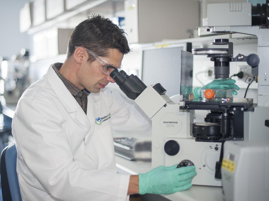 Associate Professor Daniel Gray from the Walter and Eliza Hall Institute of Medical Research is analysing blood cancer cells to work out why some evade destruction. Picture: Walter and Eliza Hall Institute