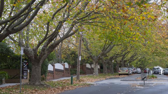 The leafy green streets of Toorak have been targeted by a serial tyre slasher. Photographer Chris Groenhout