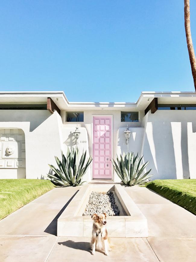 Lola the Mini Aussie ... “Living the #PalmSprings life asking Mom if we can move in here. I love a pink door.” Picture: Instagram