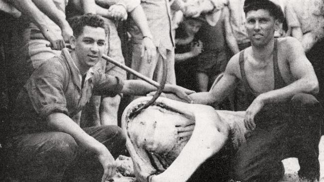 Gordon and Joe Doniger with the tiger shark.