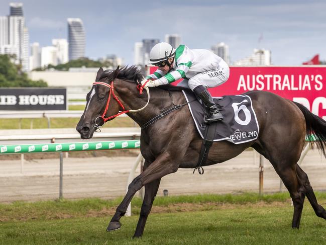 Mark Du Plessis rides Kisukano to victory in race 5, the AQUIS QTIS Jewel 2 Year-Old, during the QTIS Jewel Raceday at Aquis Park on the Gold Coast, Saturday, March 14, 2020. (AAP Image/Glenn Hunt)