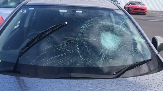 Cars vandalised in Elizabeth