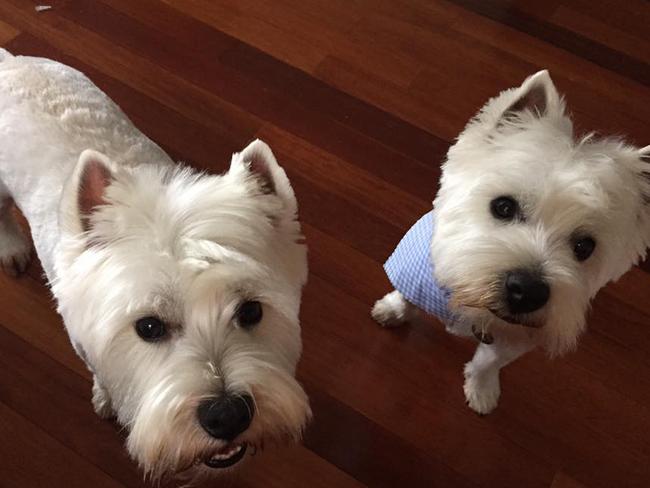 Sandy-Ann Van den Heever can’t choose between her boys Harvey and Scotty. They are the best of brothers and do everything together.