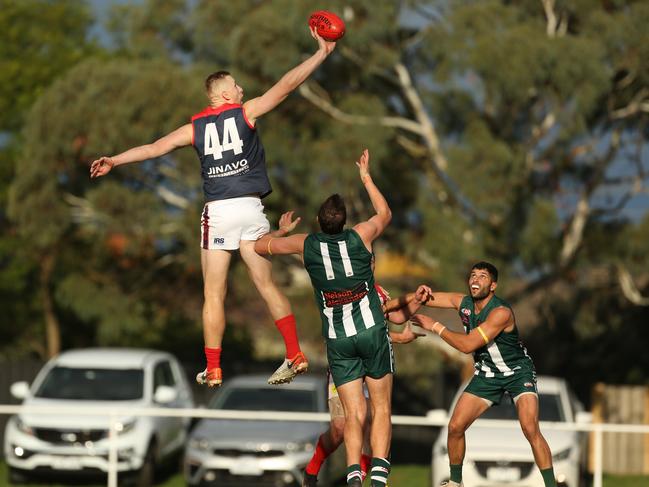 EDFL: Tullamarine's Shaun McKernan soars in the ruck. Picture: Stuart Milligan