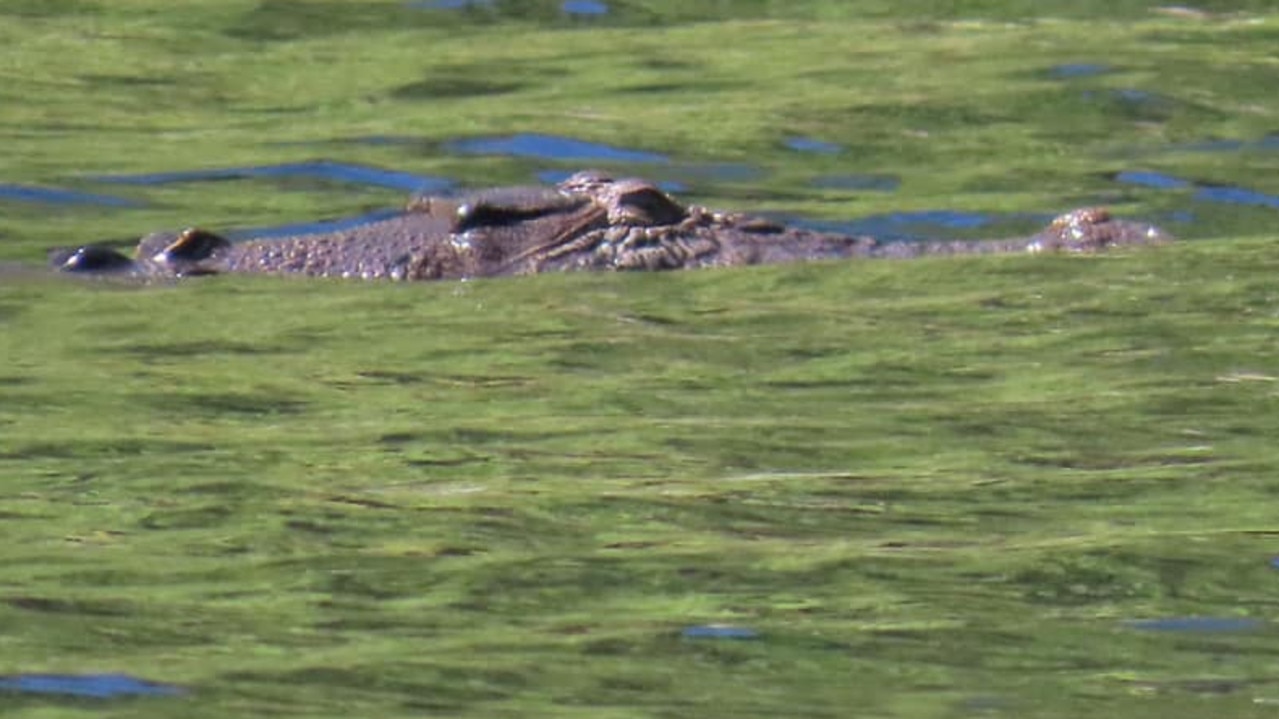 A croc was spotted at Wangi Falls just before a man was attacked on July 10. Picture: Michael Hickman