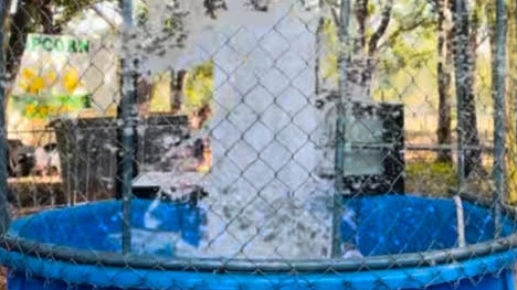 Gone... dunked Chief Minister Lia Finocchiaro dunked at the Freds Pass Rural Show