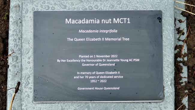 The plaque accompanying the macadamia tree planted in honour of the late queen and developed by retired Gympie macadamia farmer and industry heavyweight Ian McConachie.