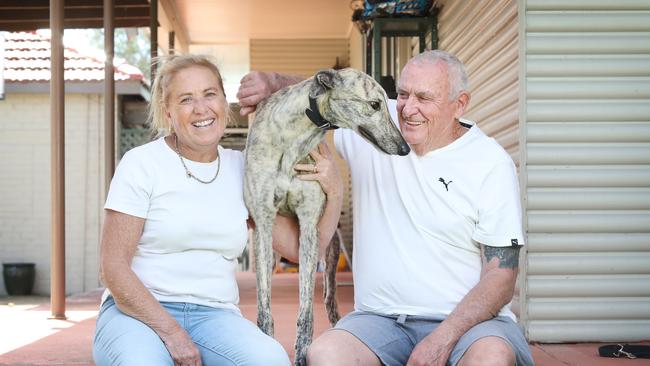 Tracey and Frank Hurst and their greyhound Good Odds Harada, which won the Million Dollar Chase last year. Picture: Richard Dobson