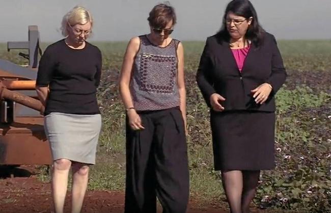 Bundaberg MP Leanne Donaldson with Rosie Ayliffe and Grace Grace appeared on Australian Story discussing backpacker welfare. Picture: ABC