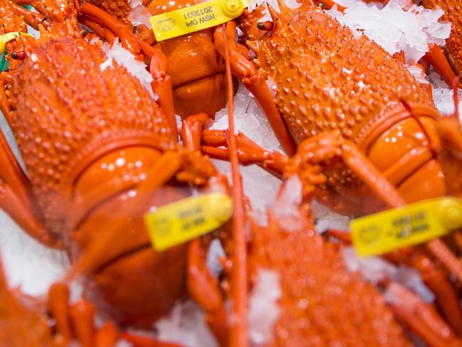 $20 lobsters: Where to get a Christmas seafood bargain