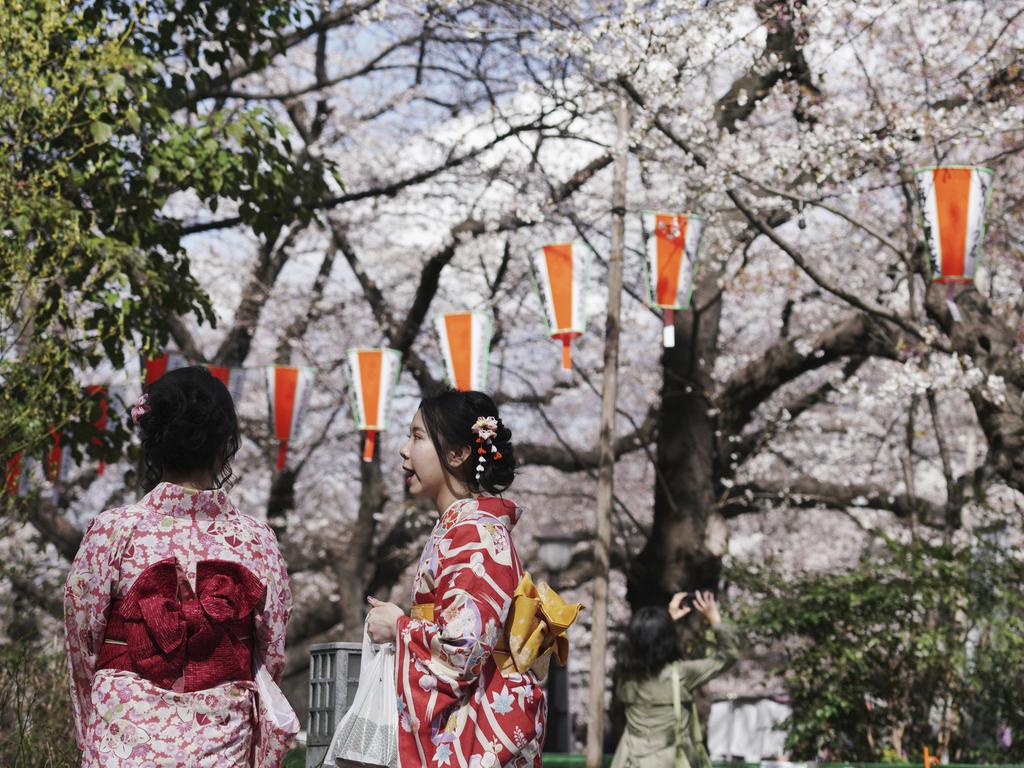 Kimono-clad visitors view the blooming cherry blossoms in Tokyo, Friday, March 23, 2018. The cherry blossom season marks the arrival of spring for the Japanese. Picture: AP