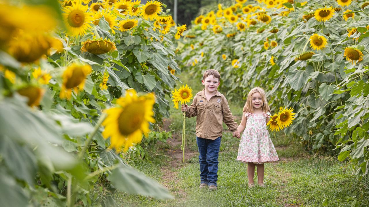 Toowoomba, Darling Downs events: 10 things to do this weekend | The ...