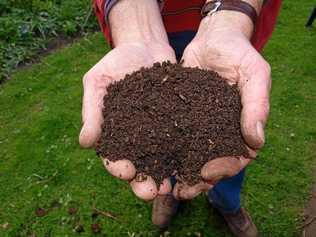 BLACK GOLD: Keen Northern Rivers gardeners look forward to when Lismore City Council will have compost for sale again. Picture: Supplied