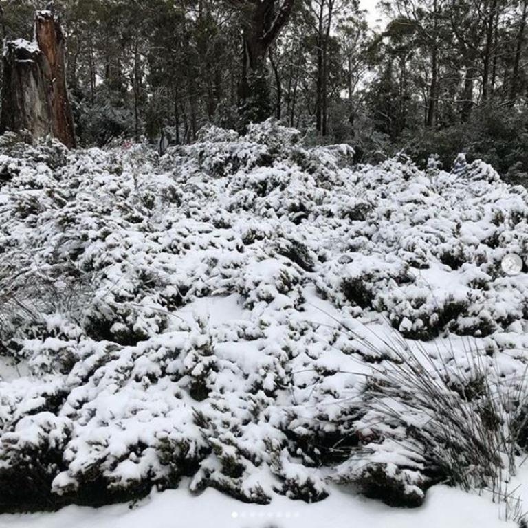 Snow in Cradle Mountain. Picture: @talana.cook