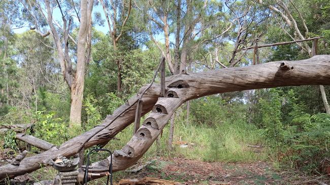 An abandoned campsite gathering at the base of City Hill near where Duncan Campbell's body was located in Coffs Harbour.