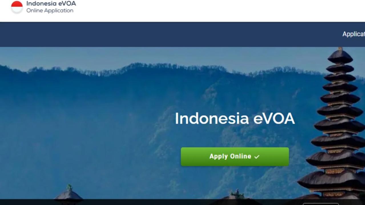 A screenshot of a website supplying visas.