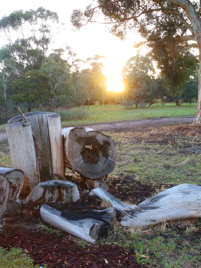 The logs where she was found. Picture: David Crosling