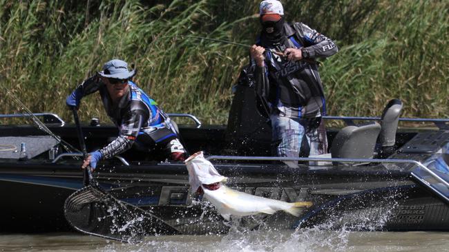 Michael Dickinson and Scott Partridge from Team Fusion in action. PICTURE: ReadItOnline.