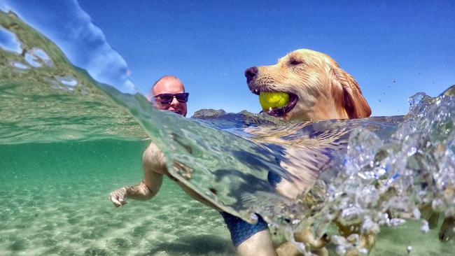 Tom Dutton from Clifton Hill takes his dog Sonny for a swim at Mentone.