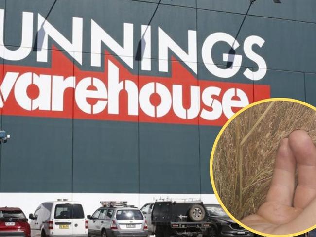 Bunnings has removed a broom off its shelves after a shoppoer revealed it as a potential biosecurity threat.