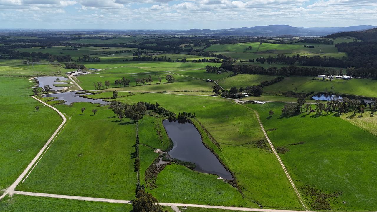 Gippsland dairy farms to fetch $20m-plus