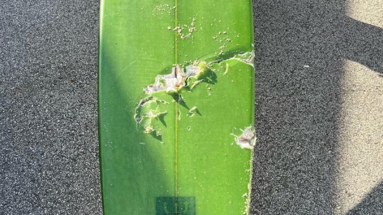 Large bite marks on Frost’s surfboard taken after the attack. Picture: Swellnet