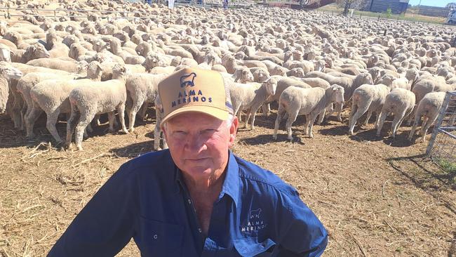 Graham Morphett from Alma Merinos at Booligal, NSW, with some of his young ewes for sale at the Hay sheep sale recently.