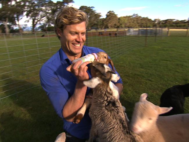 Does Bondi Vet Dr Chris Brown have a new rival in Dr Chris Stott of Village Vets? Picture: Supplied